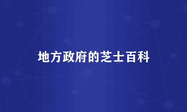 地方政府的芝士百科