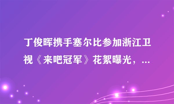 丁俊晖携手塞尔比参加浙江卫视《来吧冠军》花絮曝光,用雨伞打球,球杆是“Z”字形