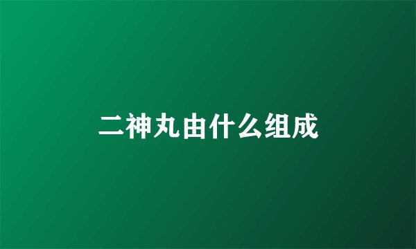 二神丸由什么组成