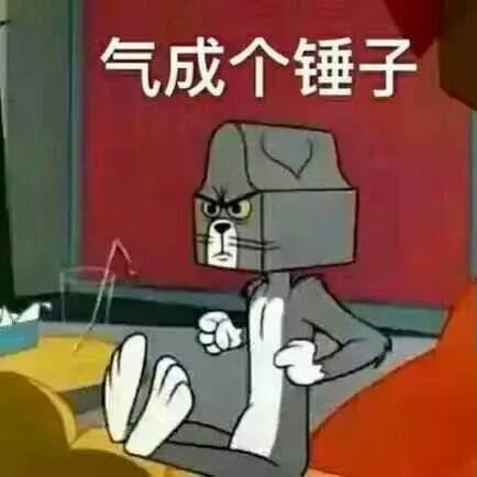 萨摩耶到底有多蠢?
