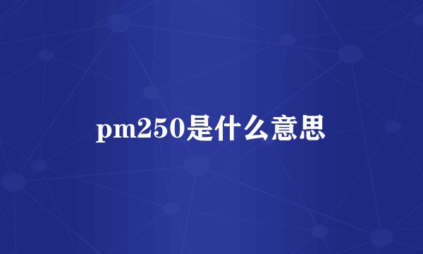 pm250是什么意思