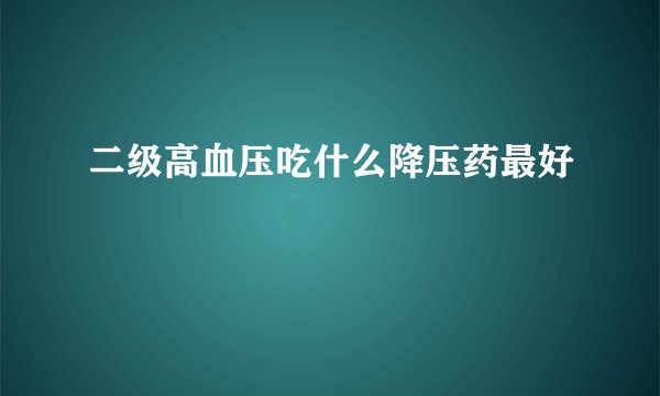 二级高血压吃什么降压药最好
