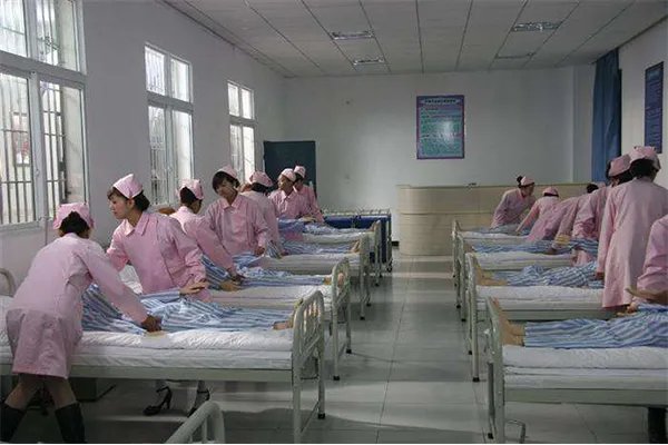 高考十大最佳志愿 十大高考志愿热门专业推荐