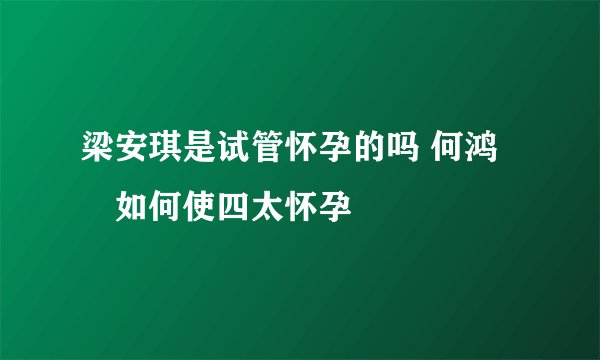 梁安琪是试管怀孕的吗 何鸿燊如何使四太怀孕