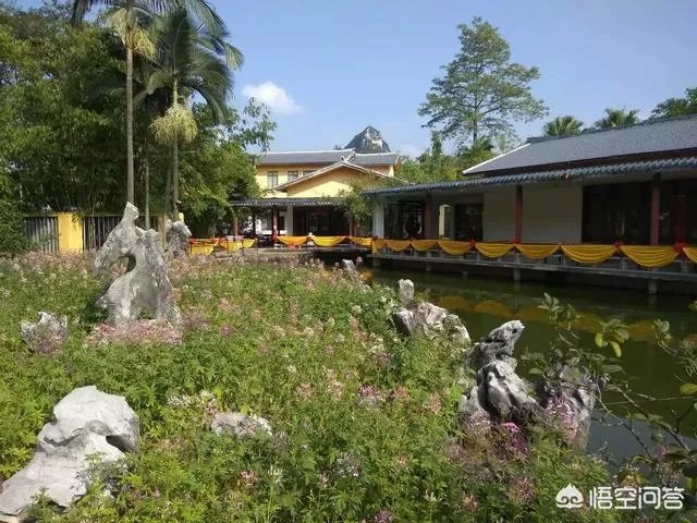 广西九旬老人病重住大棚，镇政府：当地忌讳老人在女儿家过世，你怎么看？