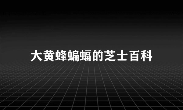 大黄蜂蝙蝠的芝士百科
