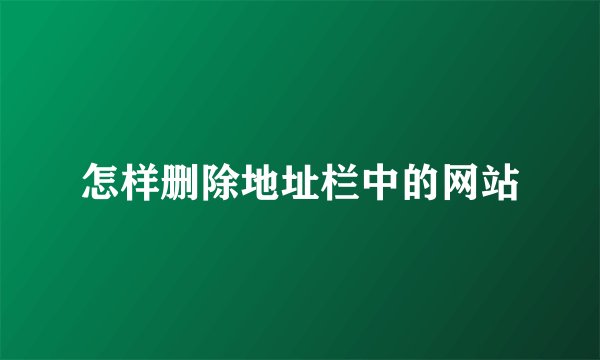 怎样删除地址栏中的网站