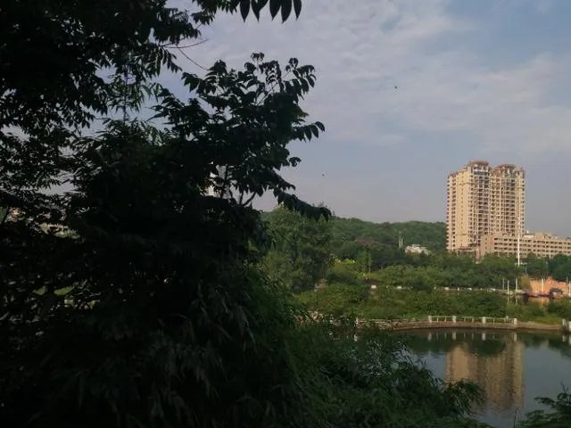 农村红白喜事都请客随礼的风俗是陋习吗?应不应该破除?