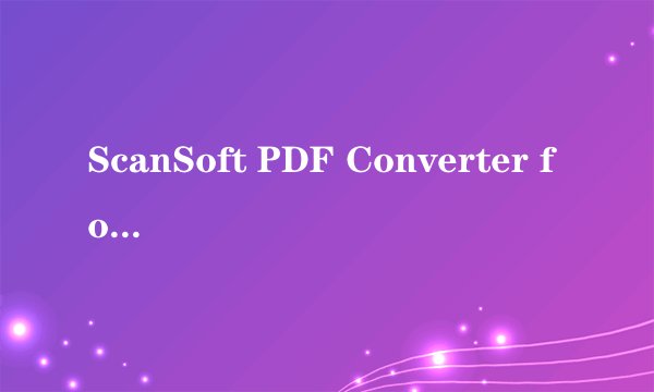 ScanSoft PDF Converter for Microsoft Word v1.0.怎么安装啊？