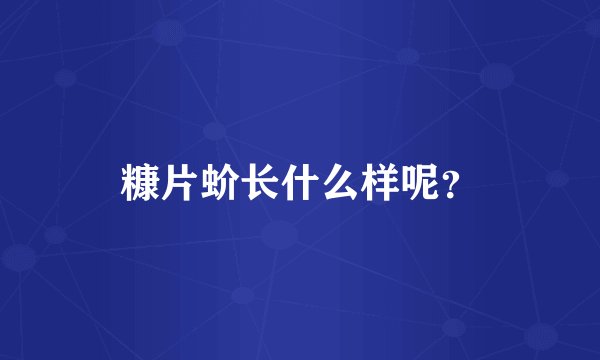 糠片蚧长什么样呢？