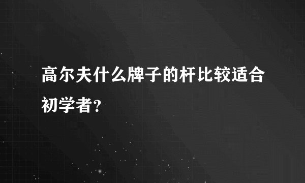 高尔夫什么牌子的杆比较适合初学者？