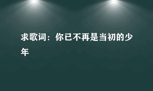 求歌词：你已不再是当初的少年
