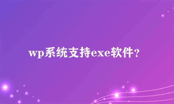 wp系统支持exe软件?
