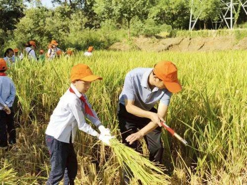 建议鼓励大中小学开设学农实践,这一建议为的是什么?