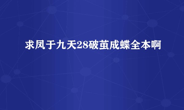 求凤于九天28破茧成蝶全本啊