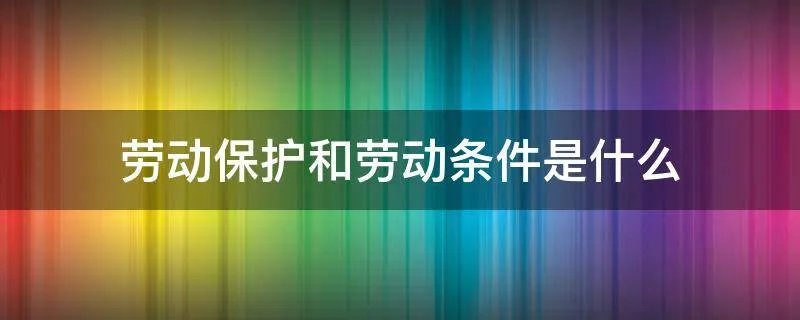 劳动保护和劳动条件是什么