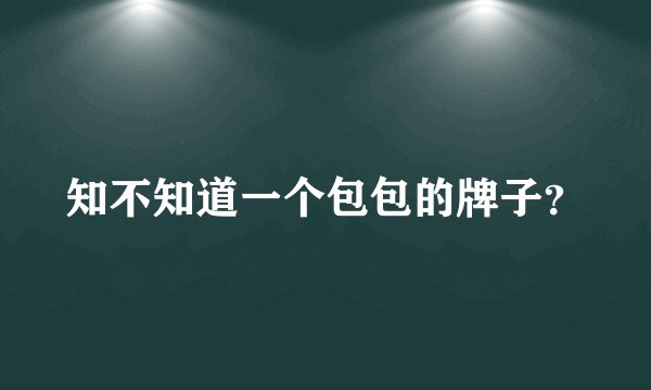 知不知道一个包包的牌子？