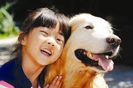 当你的猫或者狗狗去世之后,你还会再养吗?