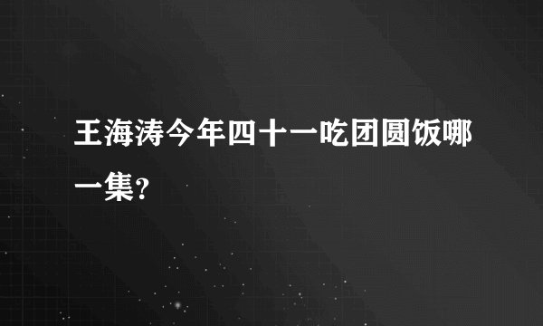 王海涛今年四十一吃团圆饭哪一集？