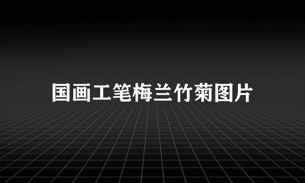 国画工笔梅兰竹菊图片
