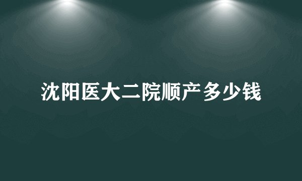 沈阳医大二院顺产多少钱