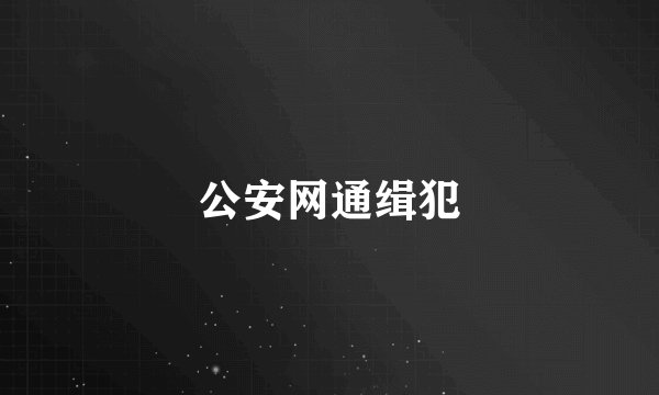 公安网通缉犯