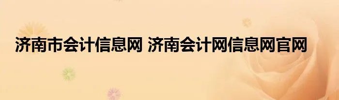 济南市会计信息网 济南会计网信息网官网