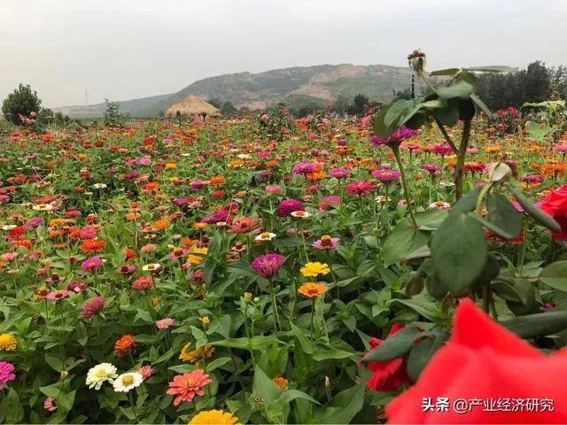 河北人怎么看省会石家庄!他们说省会是北京天津!你怎么看?