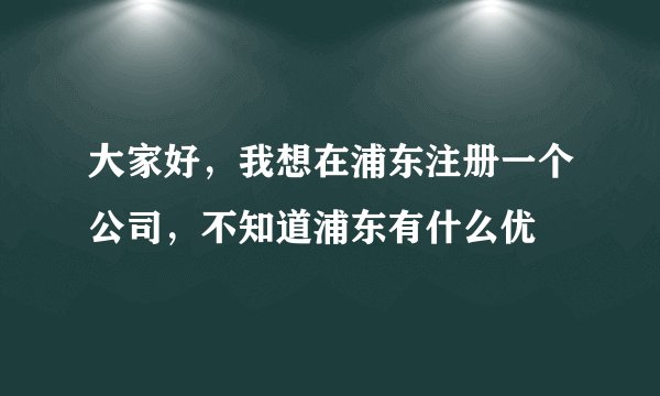大家好，我想在浦东注册一个公司，不知道浦东有什么优