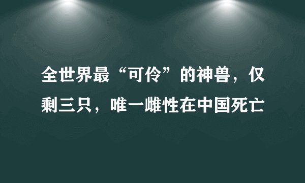 全世界最“可伶”的神兽，仅剩三只，唯一雌性在中国死亡