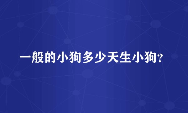 一般的小狗多少天生小狗？