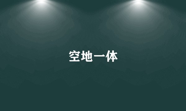 空地一体