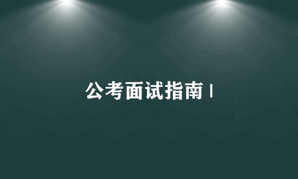 公考面试指南 |