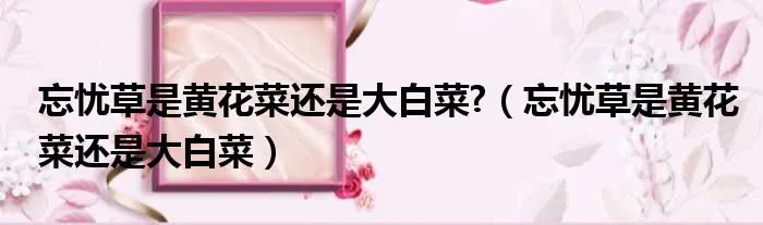 忘忧草是黄花菜还是大白菜?（忘忧草是黄花菜还是大白菜）