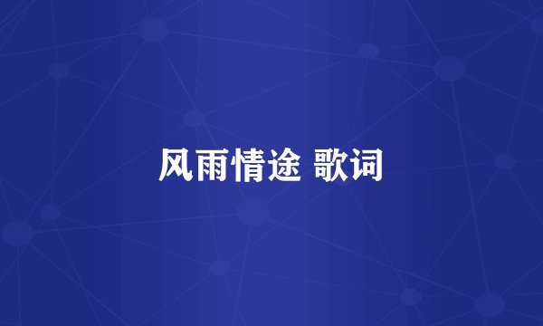 风雨情途 歌词