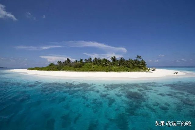 张昕宇梁红怎么起家的?他们为什么能够持续不断的旅行?