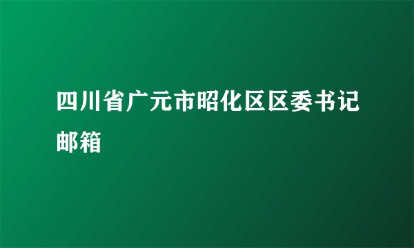 四川省广元市昭化区区委书记邮箱