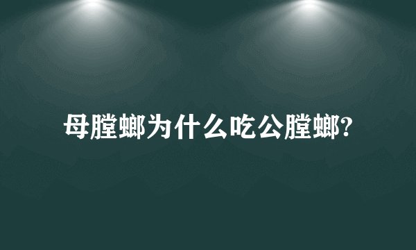 母膛螂为什么吃公膛螂?