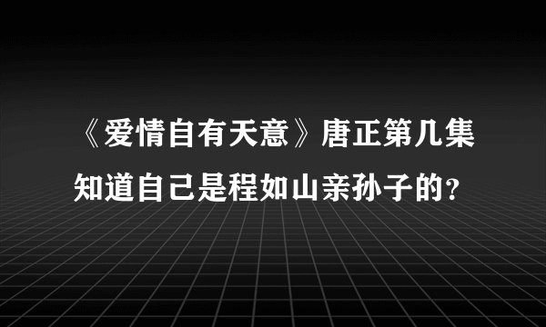 《爱情自有天意》唐正第几集知道自己是程如山亲孙子的？