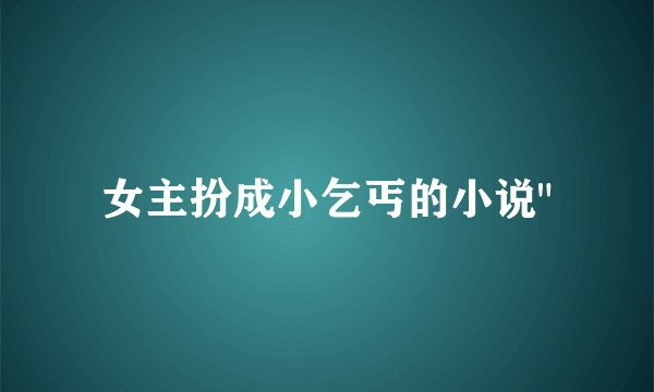 女主扮成小乞丐的小说