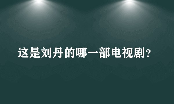 这是刘丹的哪一部电视剧？