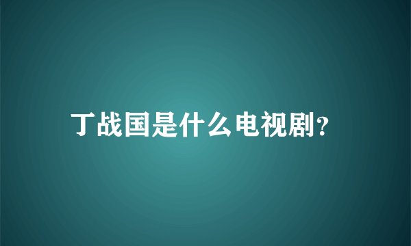 丁战国是什么电视剧？