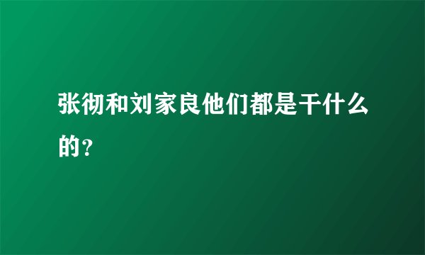 张彻和刘家良他们都是干什么的?