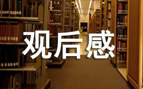 《喜羊羊与灰太狼之虎虎生威》观后感