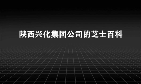 陕西兴化集团公司的芝士百科