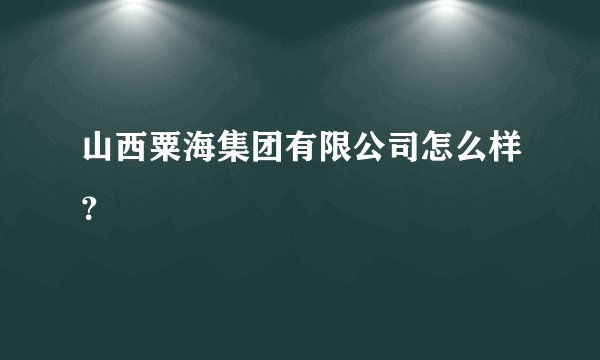 山西粟海集团有限公司怎么样？