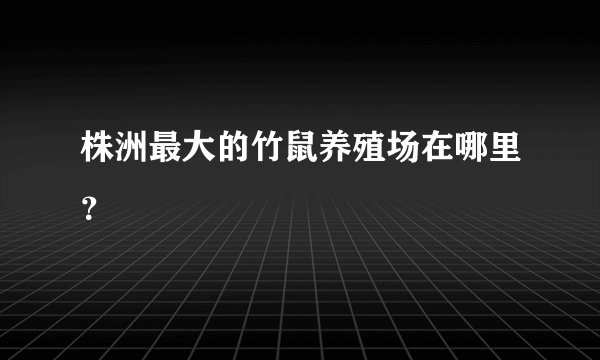 株洲最大的竹鼠养殖场在哪里？