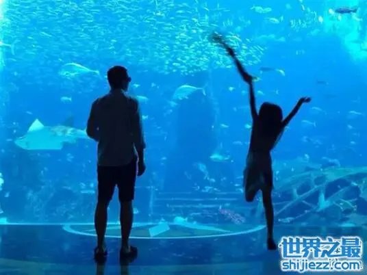 王菲李亚鹏女儿李嫣照片,天生唇腭裂却自信可爱