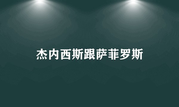 杰内西斯跟萨菲罗斯