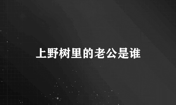 上野树里的老公是谁